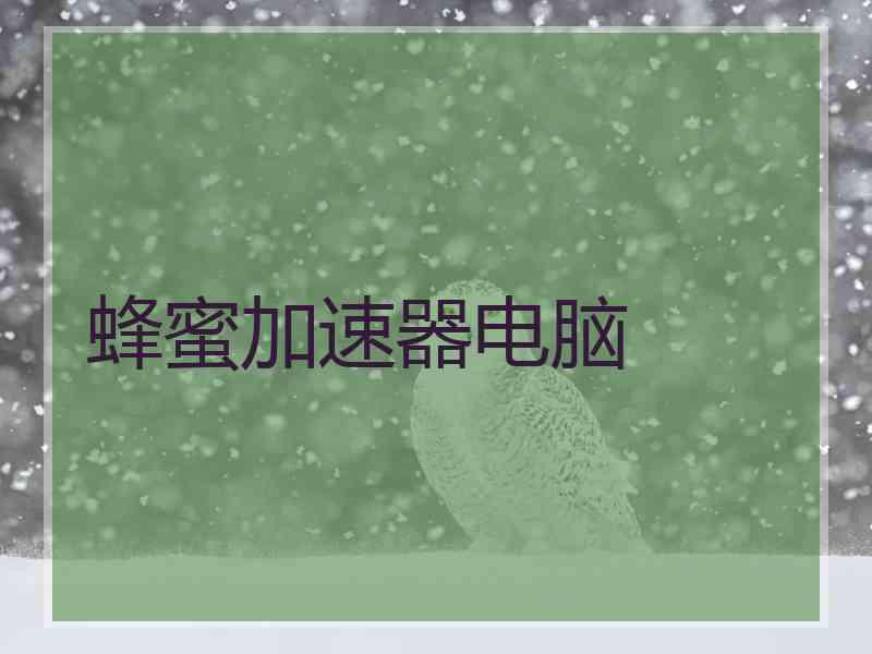 蜂蜜加速器电脑