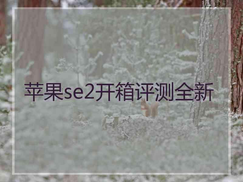 苹果se2开箱评测全新
