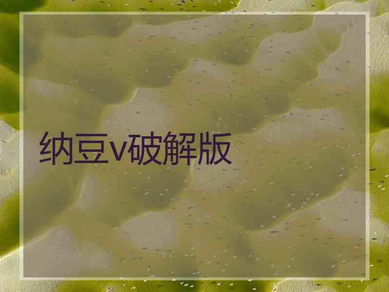 纳豆v破解版