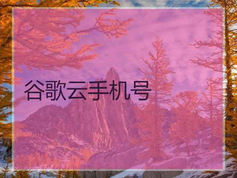 谷歌云手机号