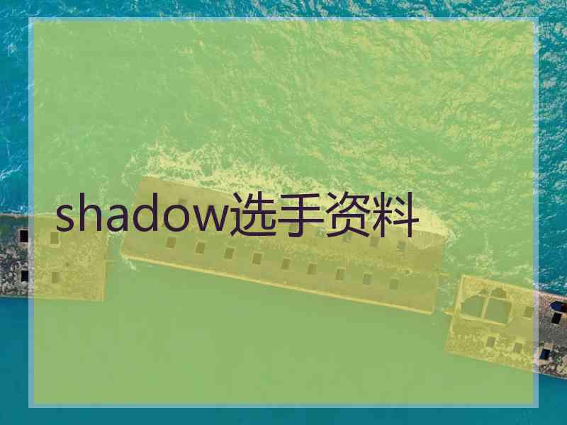shadow选手资料