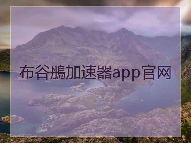 布谷鴅加速器app官网