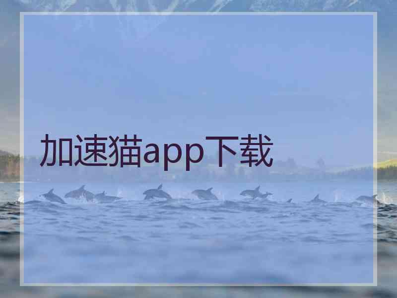 加速猫app下载