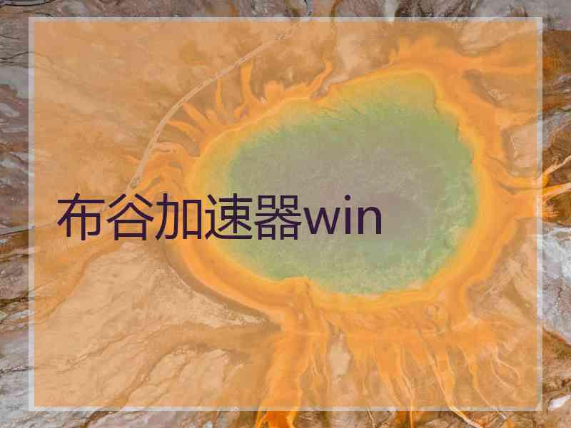 布谷加速器win