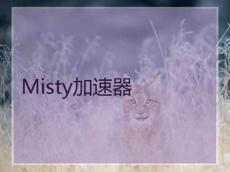 Misty加速器