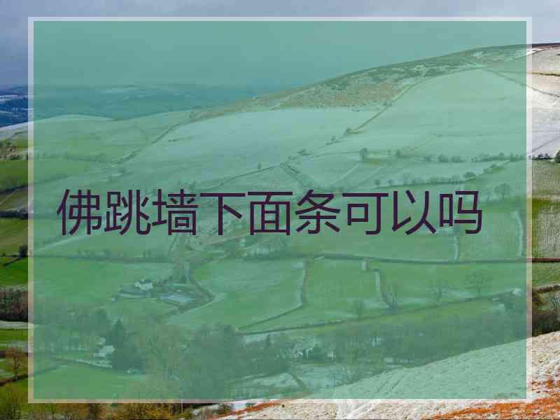 佛跳墙下面条可以吗