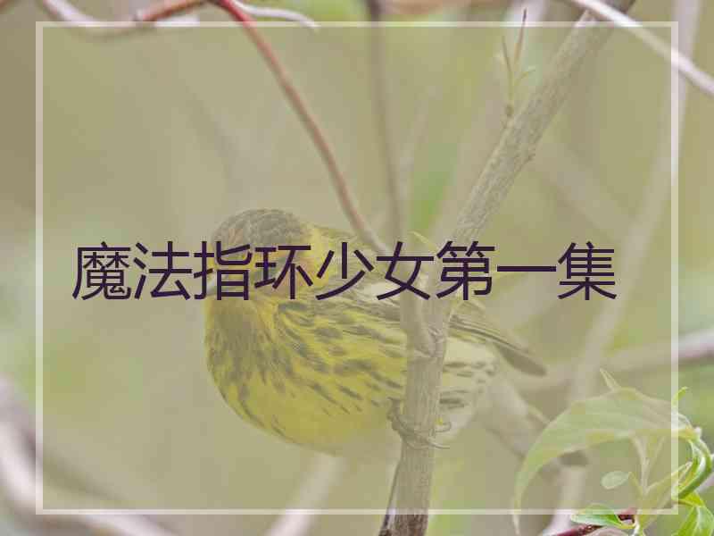 魔法指环少女第一集