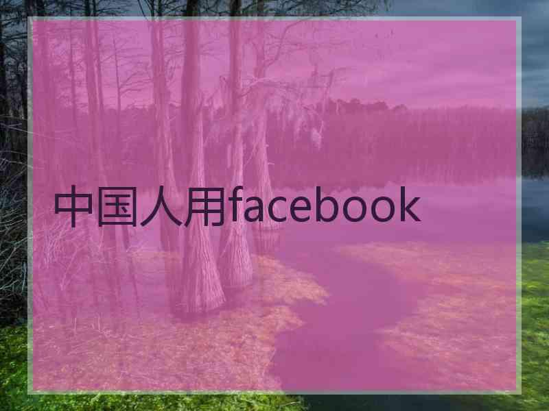 中国人用facebook