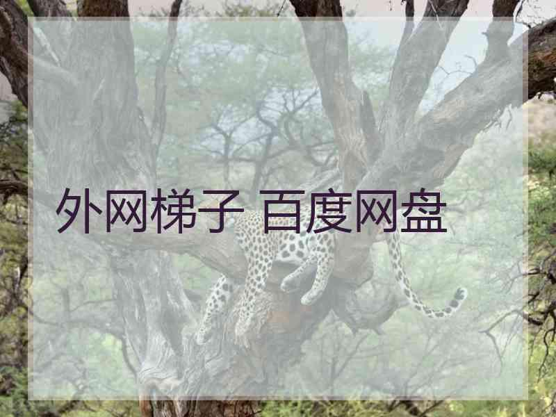 外网梯子 百度网盘