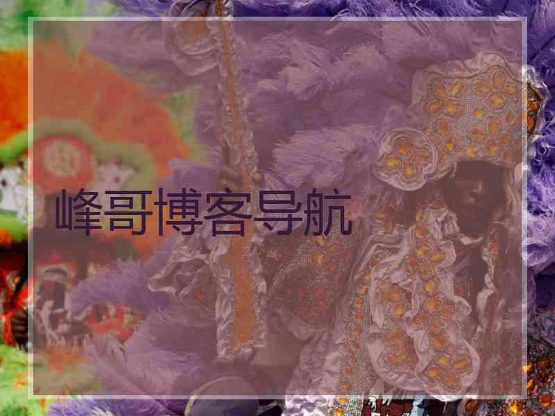 峰哥博客导航