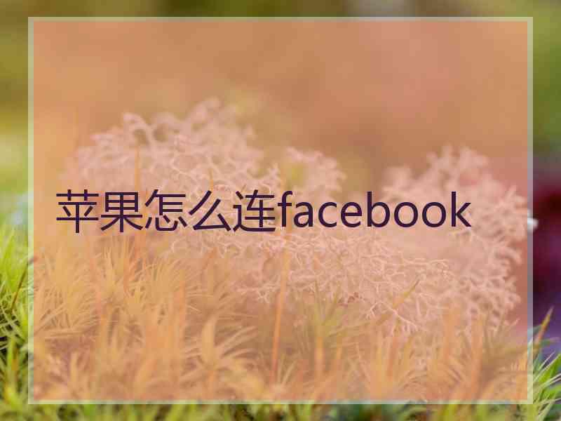 苹果怎么连facebook