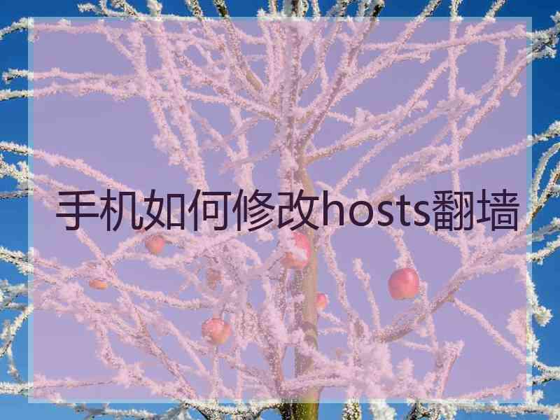 手机如何修改hosts翻墙