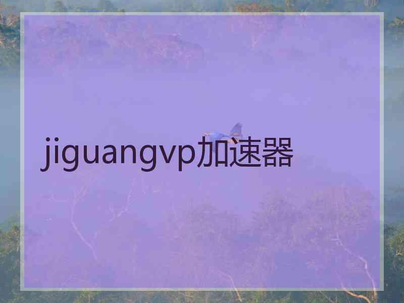 jiguangvp加速器