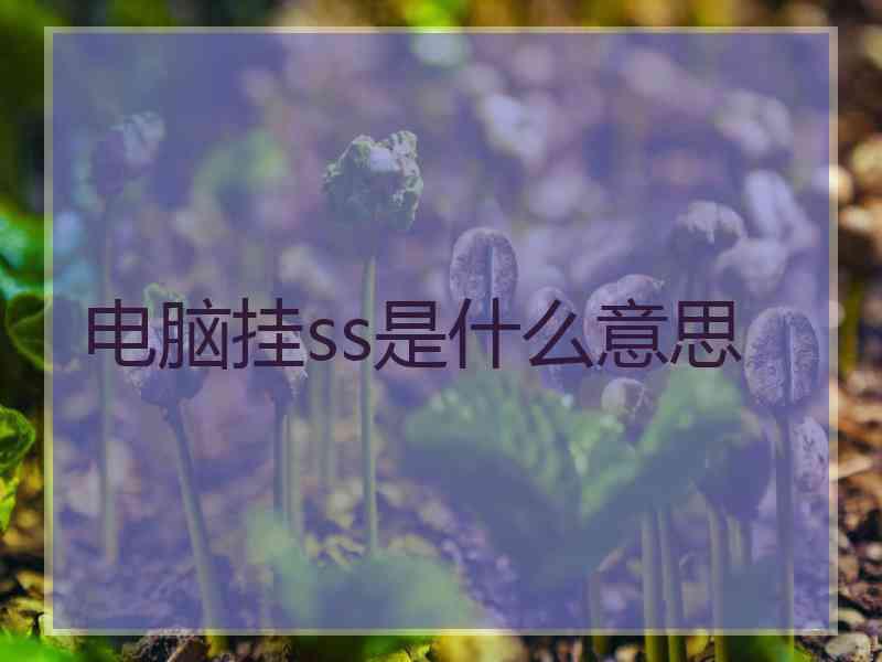 电脑挂ss是什么意思