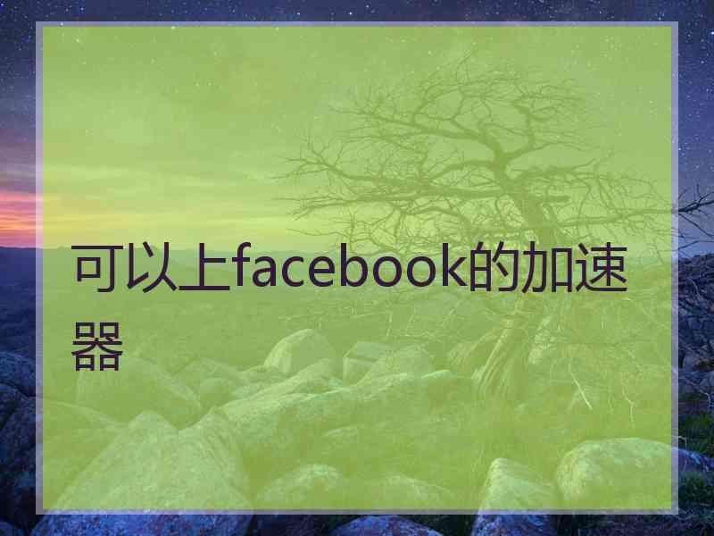 可以上facebook的加速器